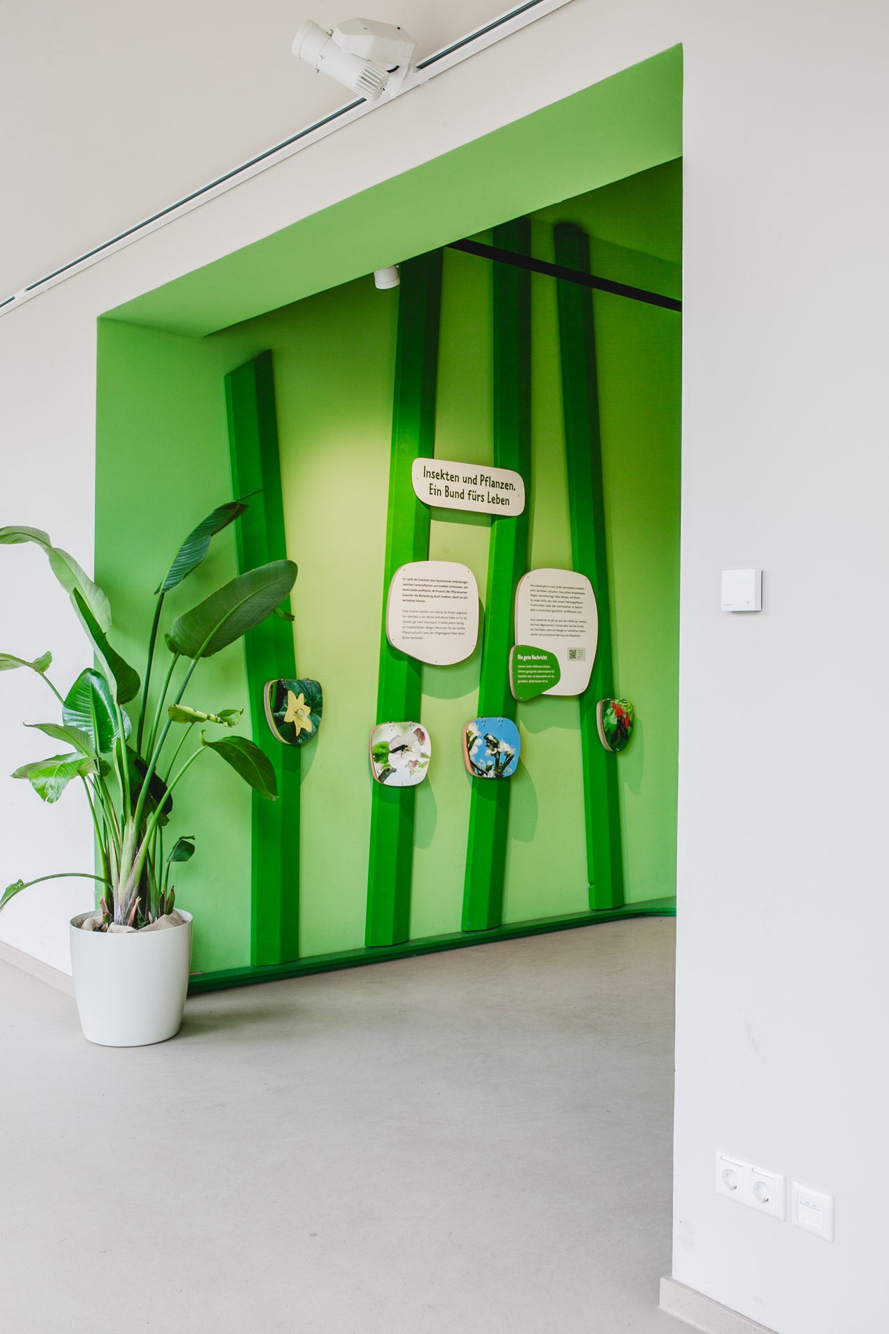 Sonderanfertigung im Ausstellungsbau für den Zoo Leipzig – funktionale Holzelemente für interaktive Vermittlung und Besucherführung