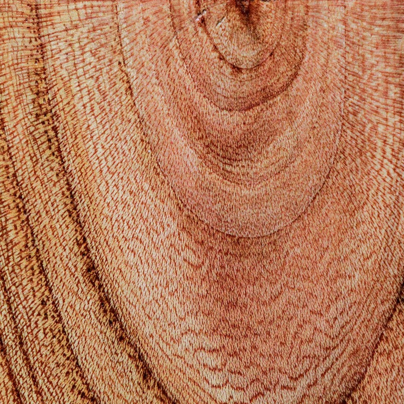 Detailaufnahme der Textur von Rüsterholz, auch genannt Ulmenholz. Mit Starker Maserung und rötlich, gelblicher Färbung