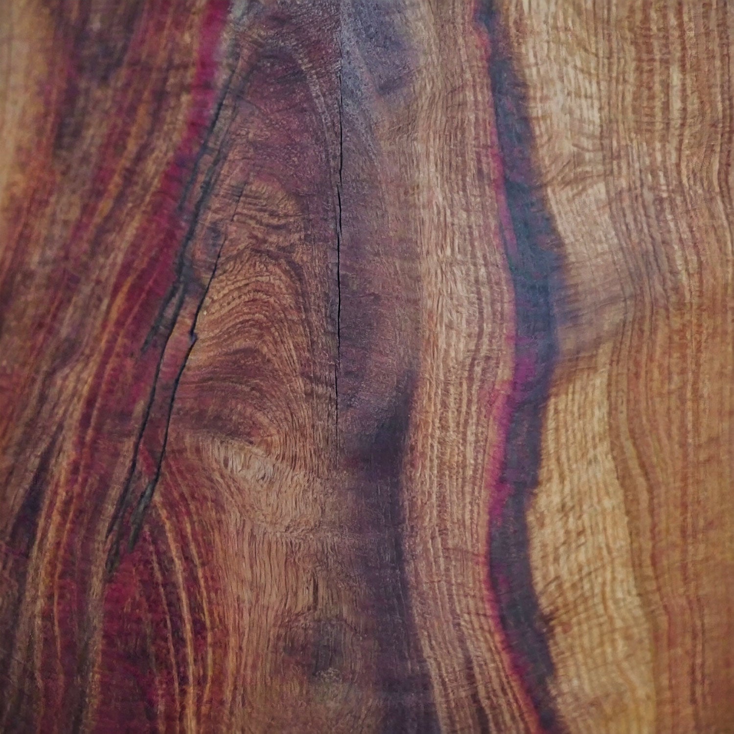 Detailaufnahme der Textur von Zwetschgenholz. Mit Starker Maserung zwischen stark rötlich und gelblicher Färbung