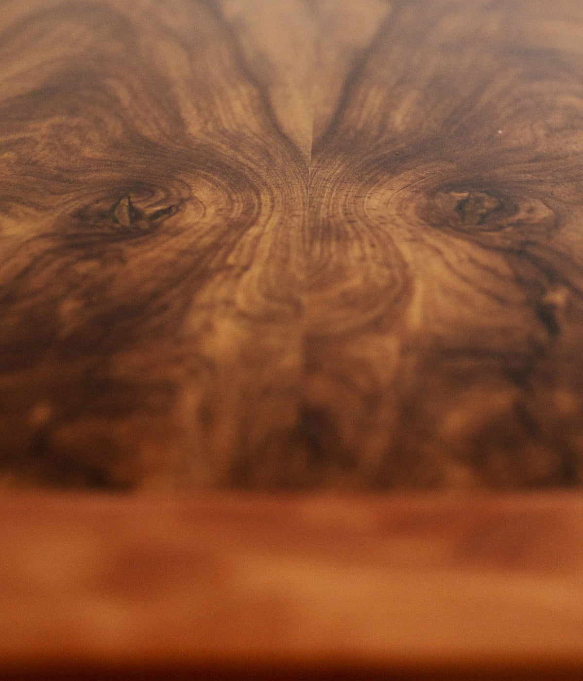 Detailaufnahme einer Apfelholzbohle, die zur Tischplatte wurde. Sie ist nun Teil des Tisches "Streuobstwiese" von mimikry, dem Designbüro in Leipzig.