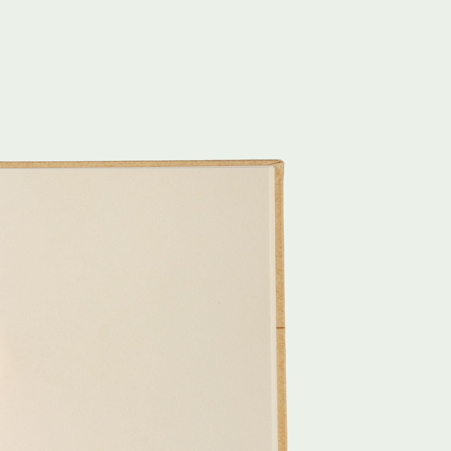 Detailaufnahme einer unbeschriebenen, beigen Buchseite.